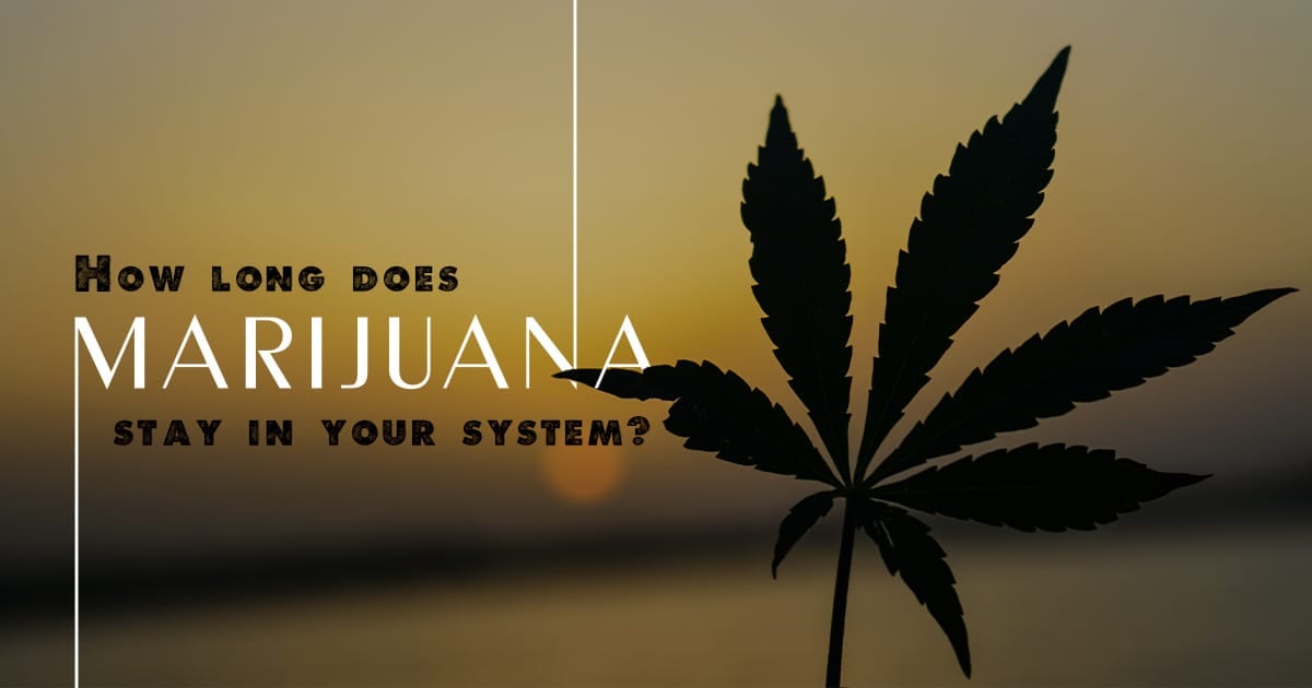 how long does marijuana stays in your system.